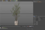 Plants collection 1106