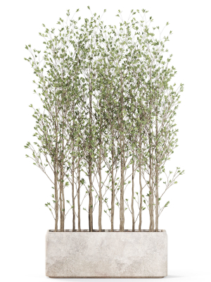 plants-collection-1107-3d-model-a46926f99f