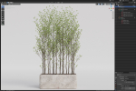 Plants collection 1107