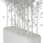 Plants collection 1107