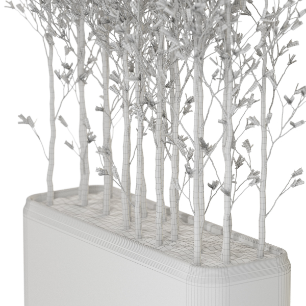 Plants collection 1107