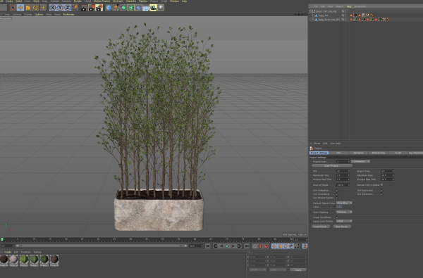 Plants collection 1107