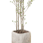 Plants collection 1108
