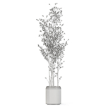Plants collection 1108