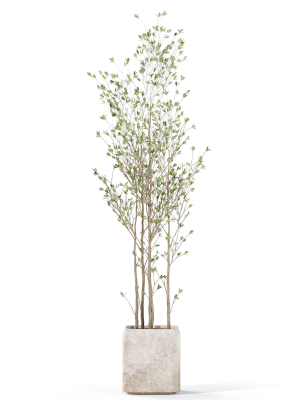 plants-collection-1108-3d-model-ae8eeabb3b