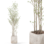 Plants collection 1108