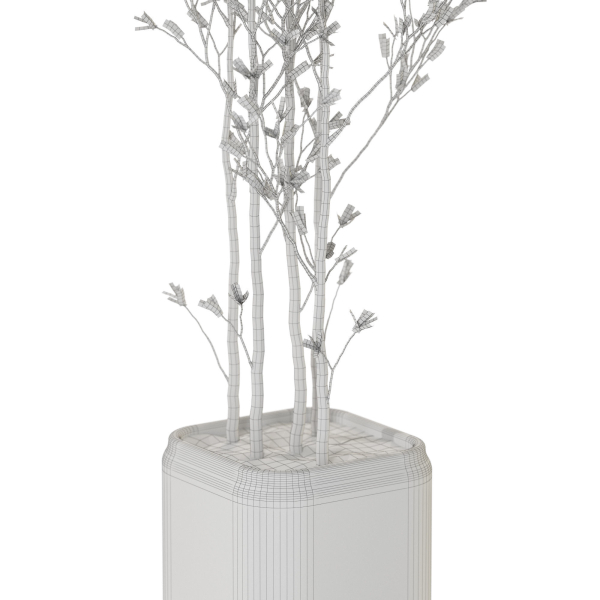 Plants collection 1108