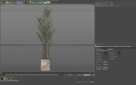 Plants collection 1108
