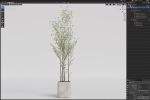 Plants collection 1108