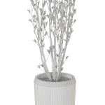 Plants collection 1109
