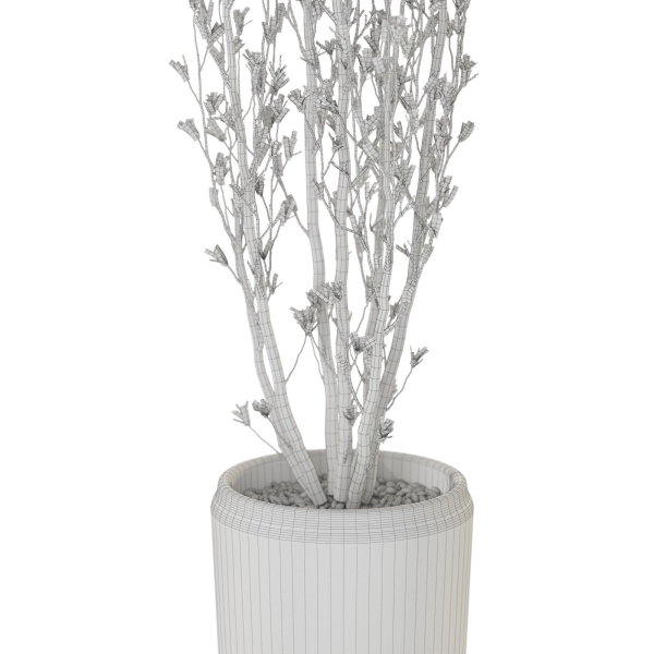 Plants collection 1109