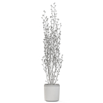 Plants collection 1109