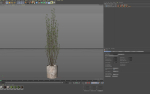 Plants collection 1109