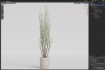 Plants collection 1109