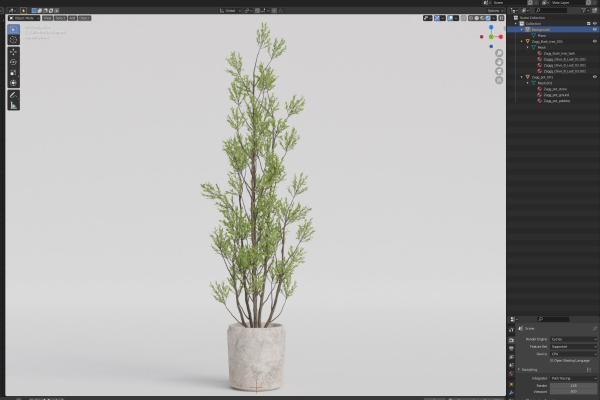 Plants collection 1110