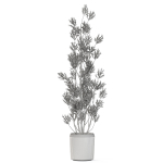 Plants collection 1110