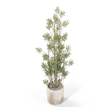 Plants collection 1110