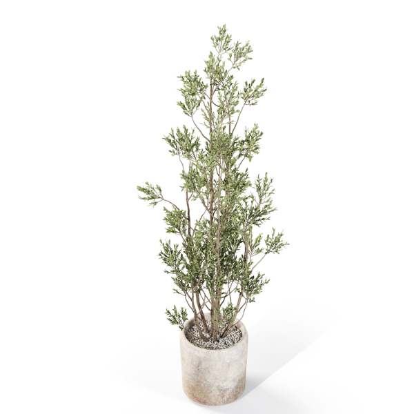 Plants collection 1110