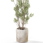 Plants collection 1110