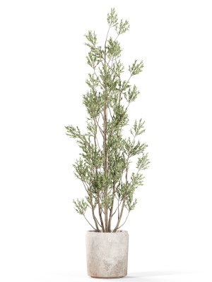 plants-collection-1110-3d-model-b962774a17