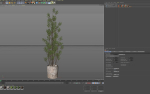 Plants collection 1110
