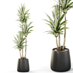 Plants collection 1111