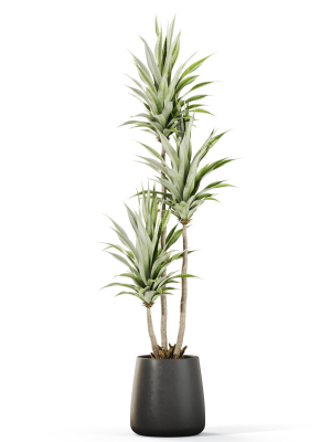 plants-collection-1111-3d-model-1ea4d64635