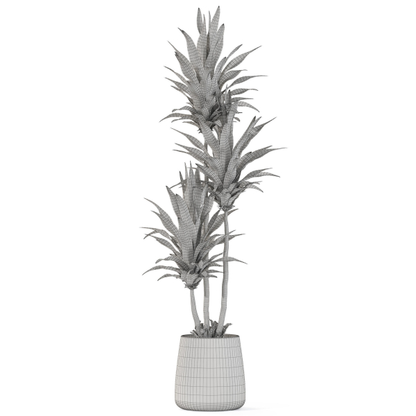 Plants collection 1111