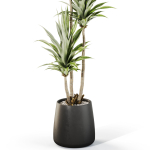 Plants collection 1111
