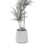 Plants collection 1111