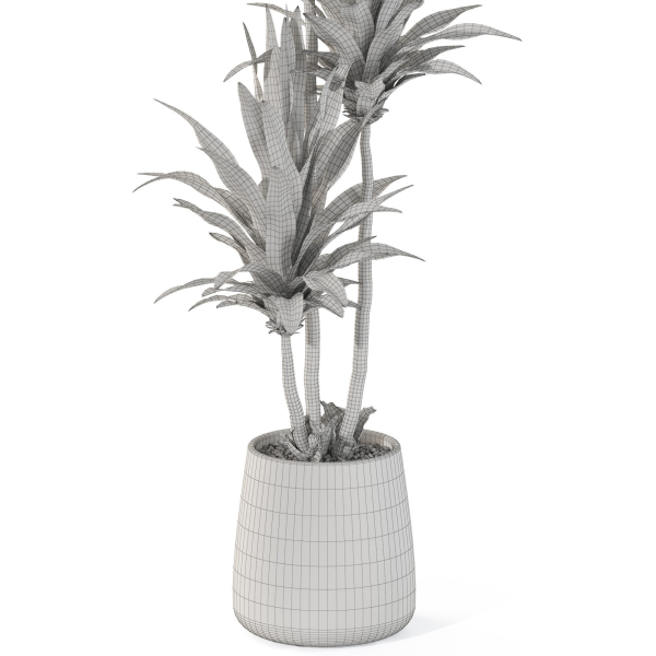 Plants collection 1111