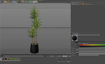 Plants collection 1111