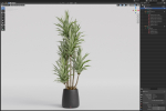 Plants collection 1112