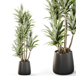 Plants collection 1112
