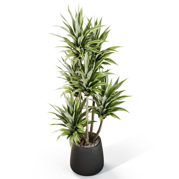 Plants collection 1112