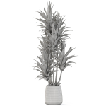 Plants collection 1112