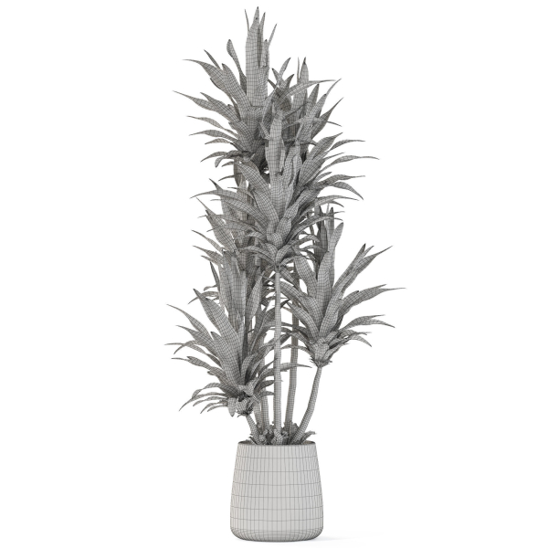 Plants collection 1112