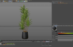 Plants collection 1112
