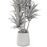 Plants collection 1112