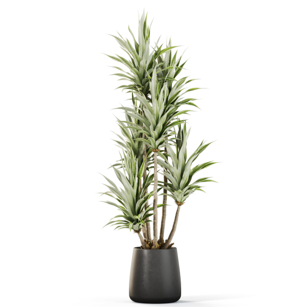 Plants collection 1112