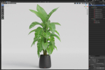Plants collection 1113
