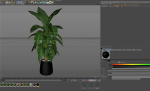Plants collection 1113
