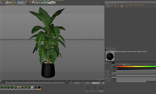 Plants collection 1113