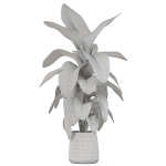 Plants collection 1113