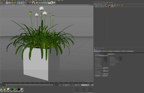 Plants collection 15