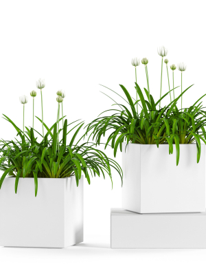 plants-collection-15-3d-model-b7f9f8c1a7