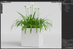 Plants collection 15