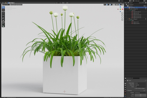 Plants collection 15