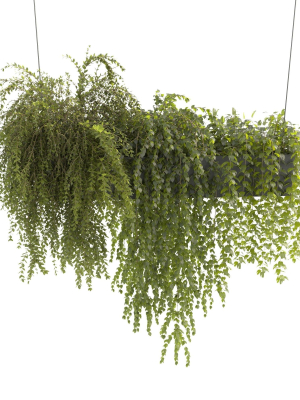 plants-collection-22-3d-model-max-obj-fbx