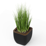 Plants collection 232